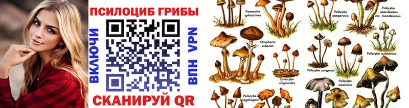Псилоцибиновые грибы мухоморы  МЕГА ссылки  маркетплейс как зайти  Осташков 