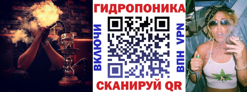 Бошки Шишки сатива Осташков